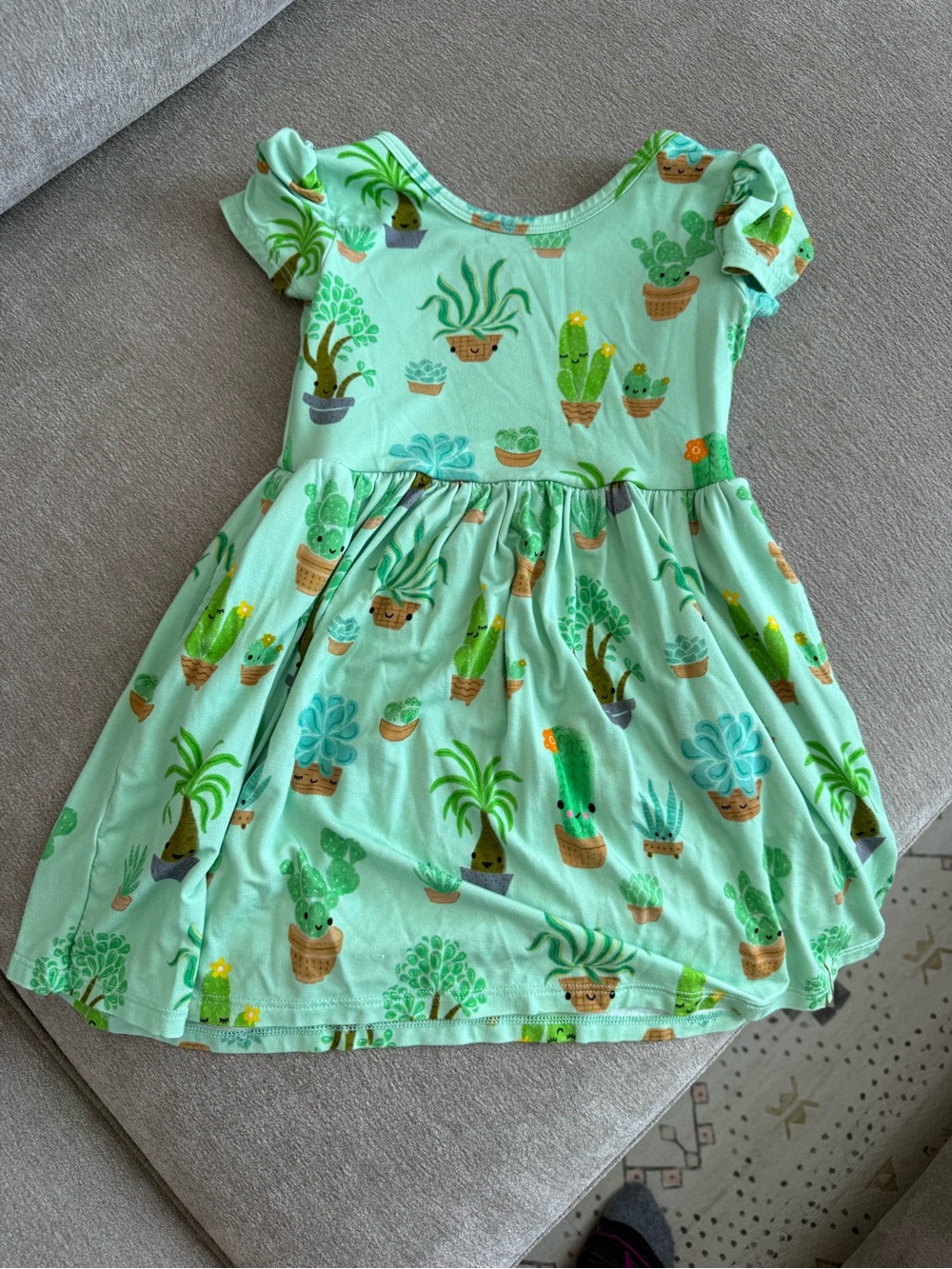 Little Sleepies Succulent Print Dress (2T)